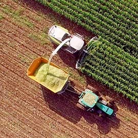 Grain Cart